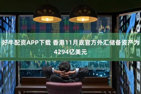 好牛配资APP下载 香港11月底官方外汇储备资产为4294亿美元