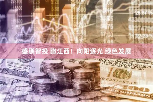 盛鹏智投 瞰江西！向阳逐光 绿色发展